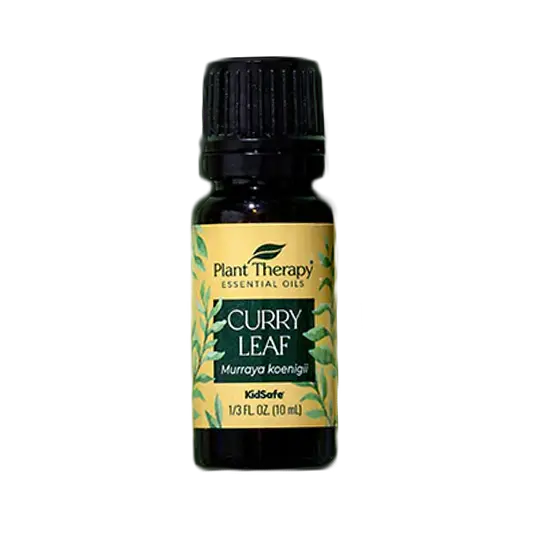 咖哩葉精油|Plant Therapy - 10ml