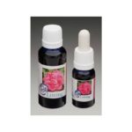 感受到愛存在花精｜Sun Essences