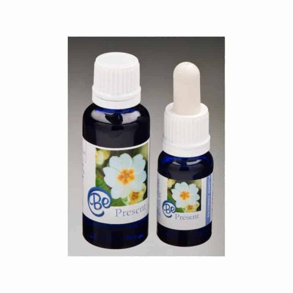 活在當下存在花精｜Sun Essences