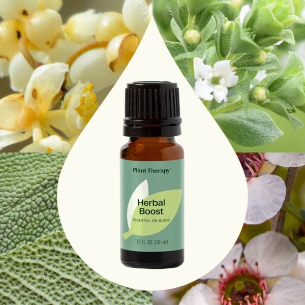 Herbal Boost