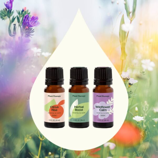 Spring Reset