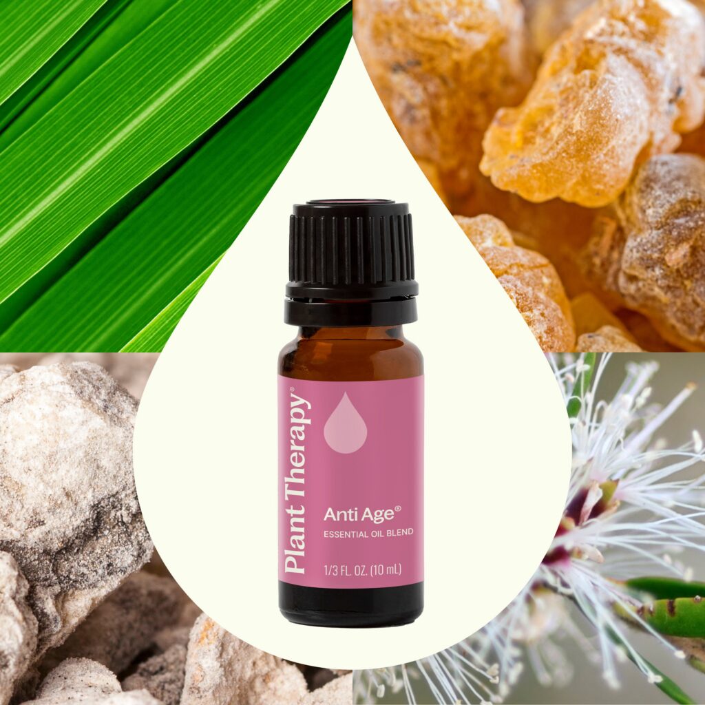 少女之春複方精油|Plant Therapy 10ml 產品圖 2