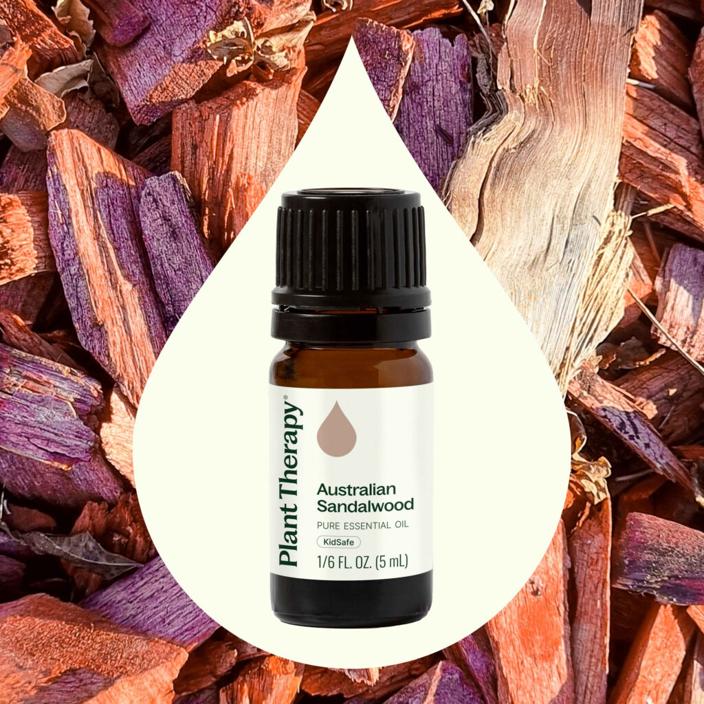 澳洲檀香精油|Plant Therapy 5ml 產品圖 2