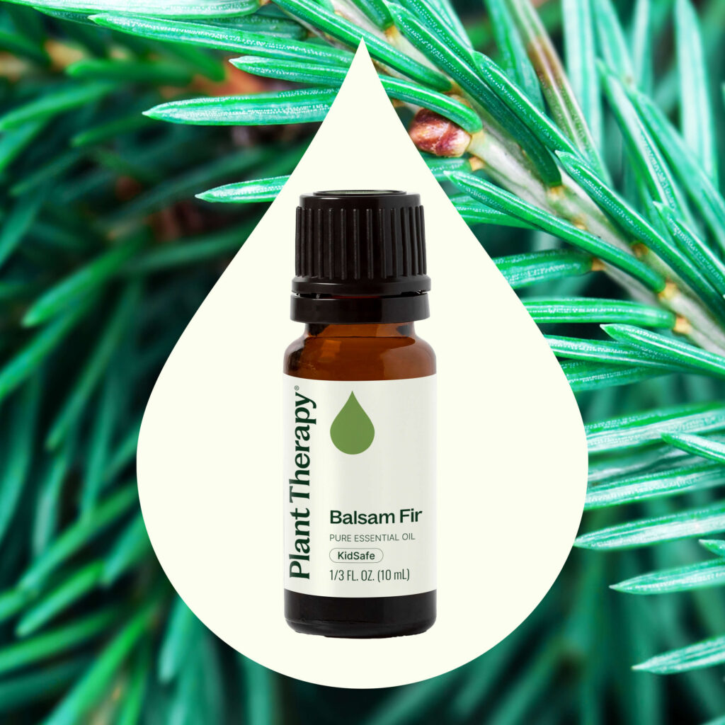 膠冷杉精油|Plant Therapy 10ml 產品圖 2