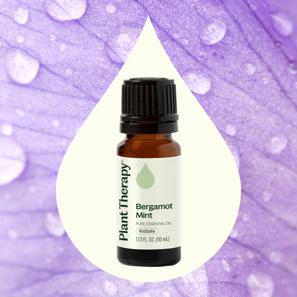 檸檬薄荷精油|Plant Therapy - 10ml 產品圖 2