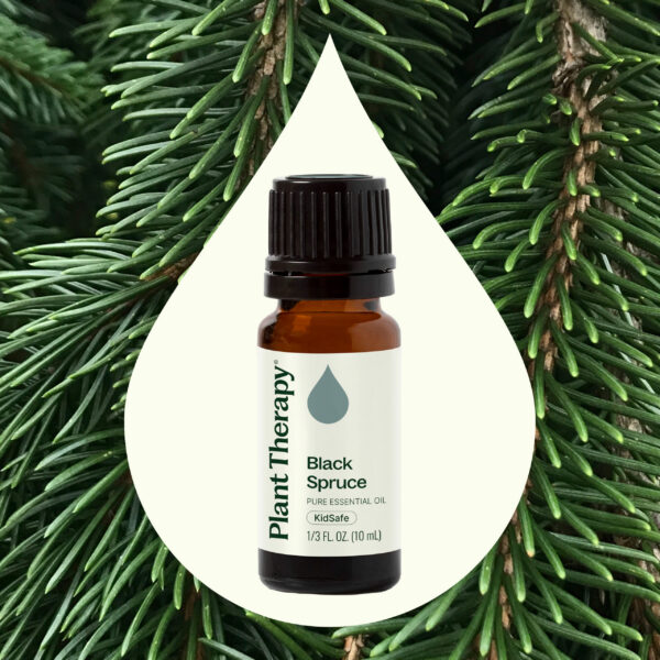 黑雲杉精油｜Plant Therapy 10ml 產品圖 2