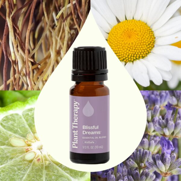薰衣草夢鄉複方精油｜Plant Therapy 10ml 產品圖 2