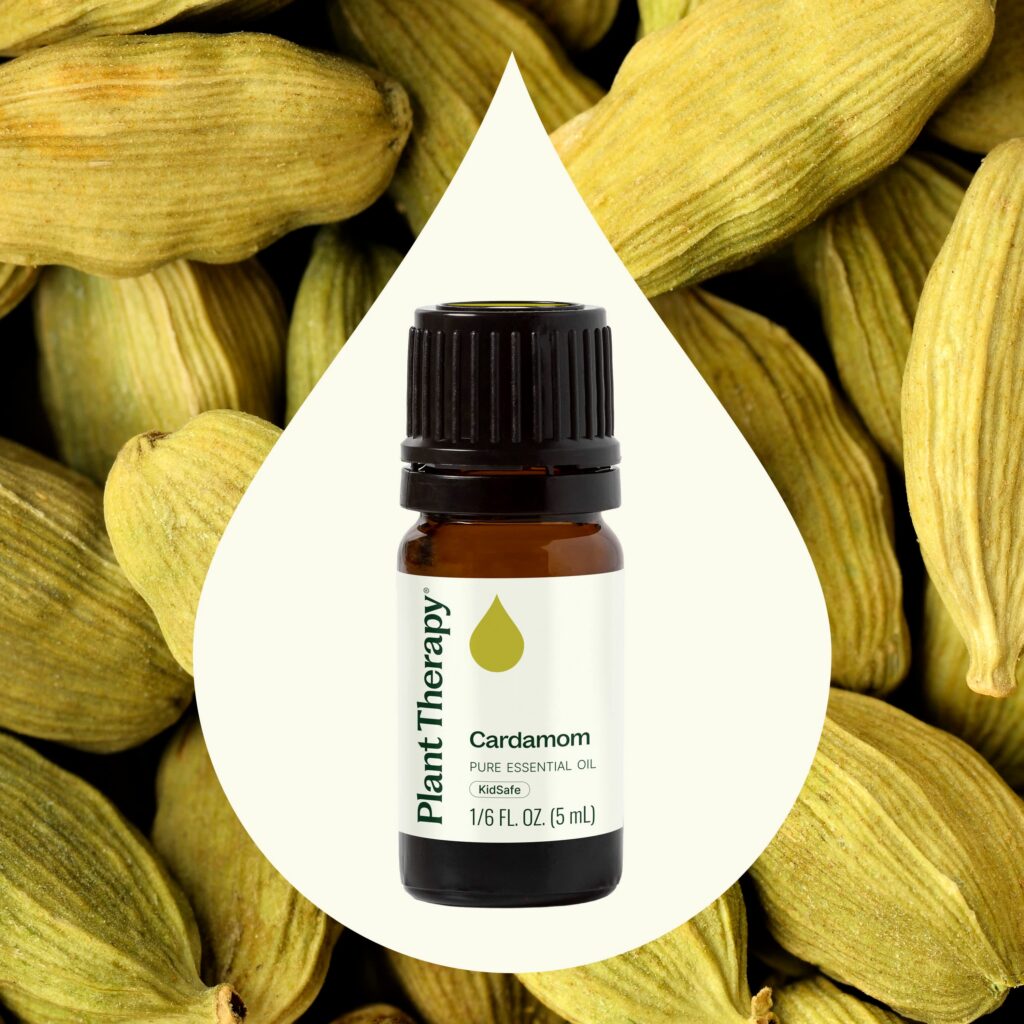 豆蔻精油|Plant Therapy 5ml 產品圖 2