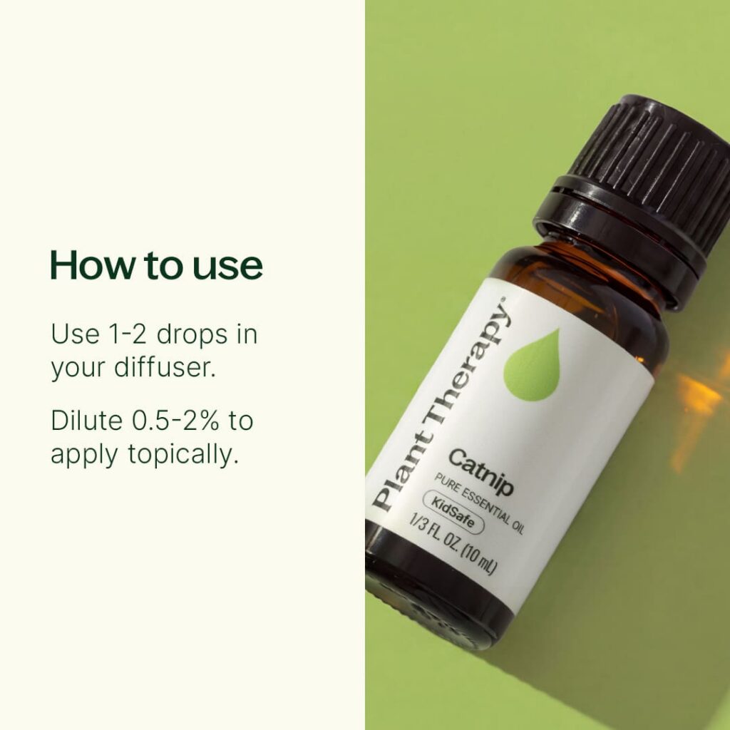 貓薄荷(荊芥)精油｜Plant Therapy - 10ml 產品圖 3