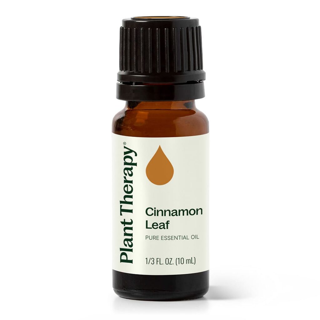 錫蘭肉桂(葉)精油｜Plant Therapy - 10ml