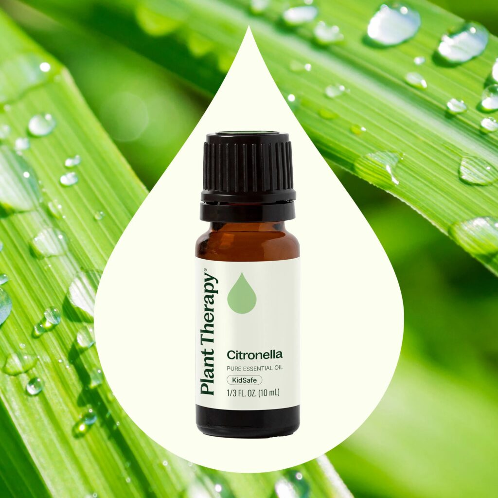 香茅精油|Plant Therapy 10ml 產品圖 2