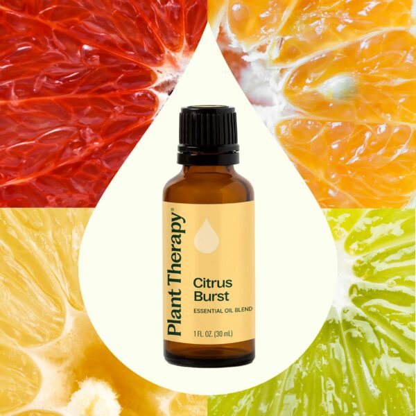 橙香炸彈複方精油｜Plant Therapy 30ml 產品圖 2