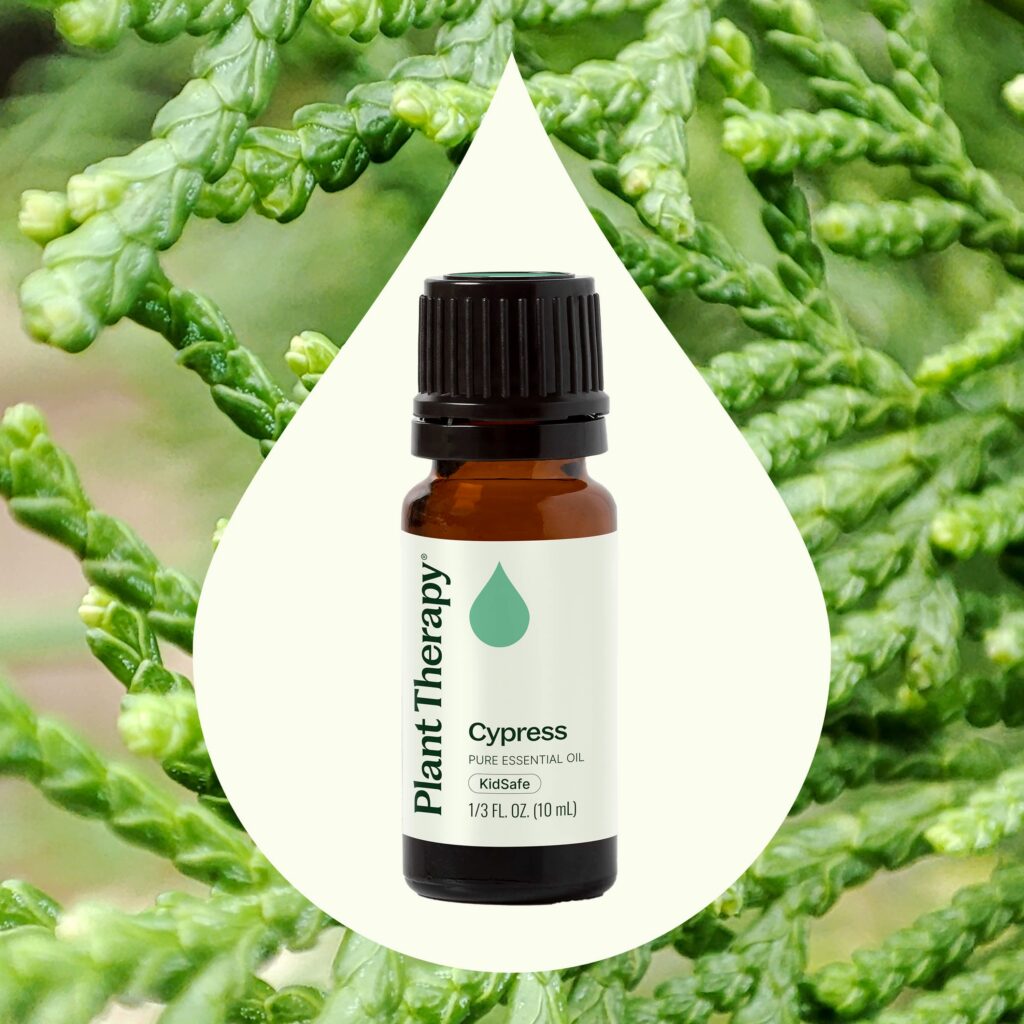 絲柏精油|Plant Therapy 10ml 產品圖 2