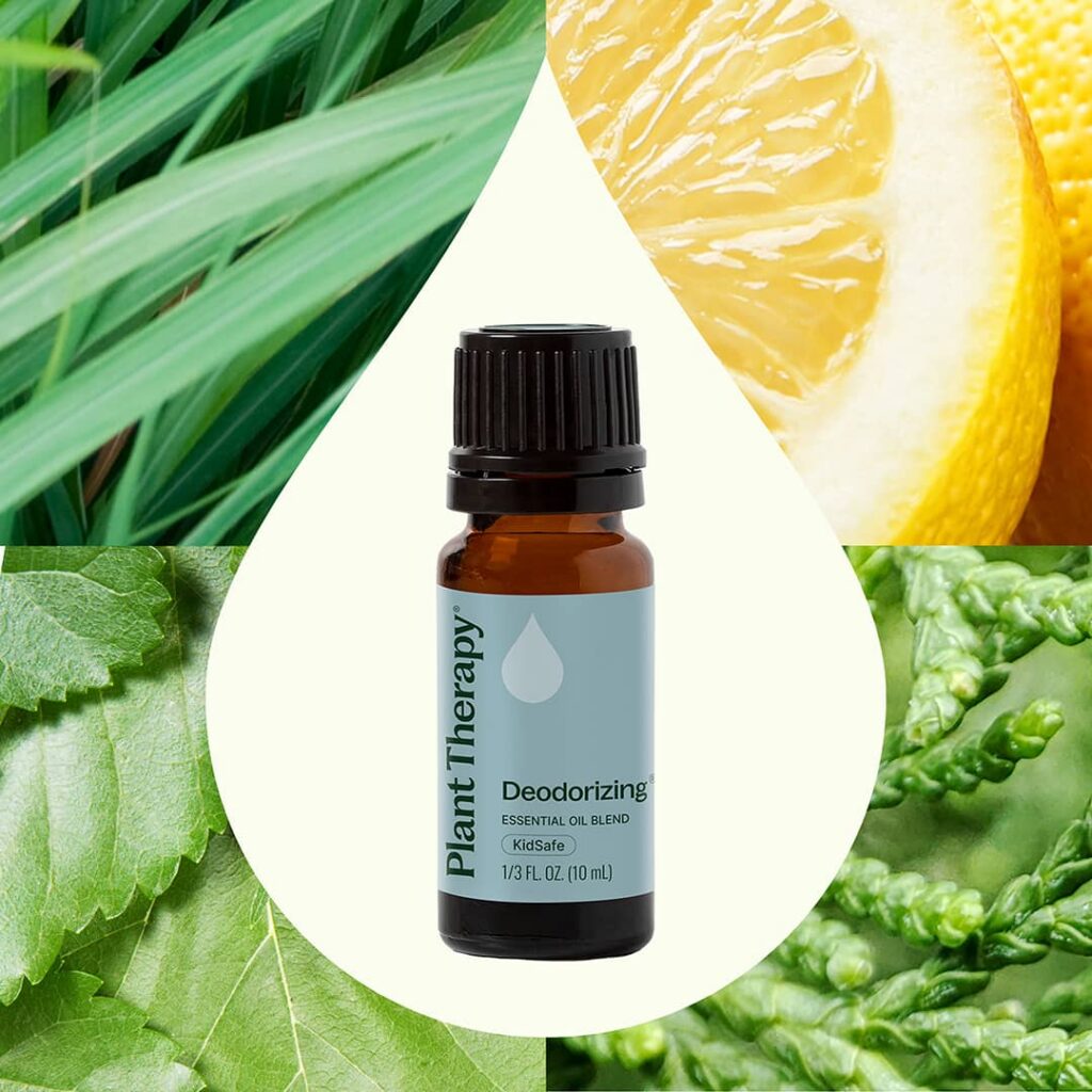 芳香淨味複方精油|Plant Therapy 10ml 產品圖 2