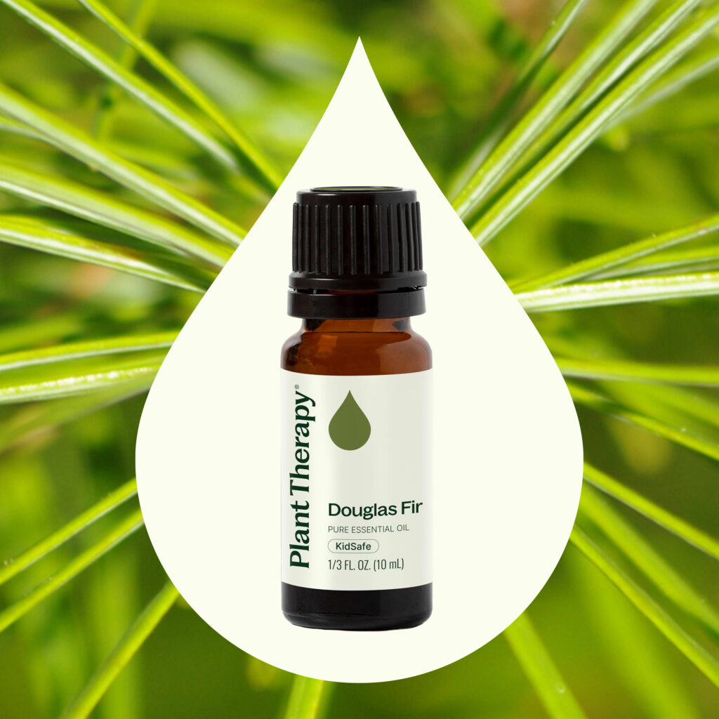 道格拉斯冷杉精油|Plant Therapy - 10ml 產品圖 2