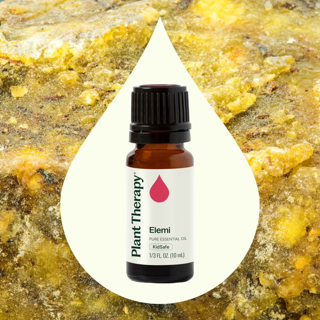 欖香脂精油|Plant Therapy - 10ml 產品圖 2