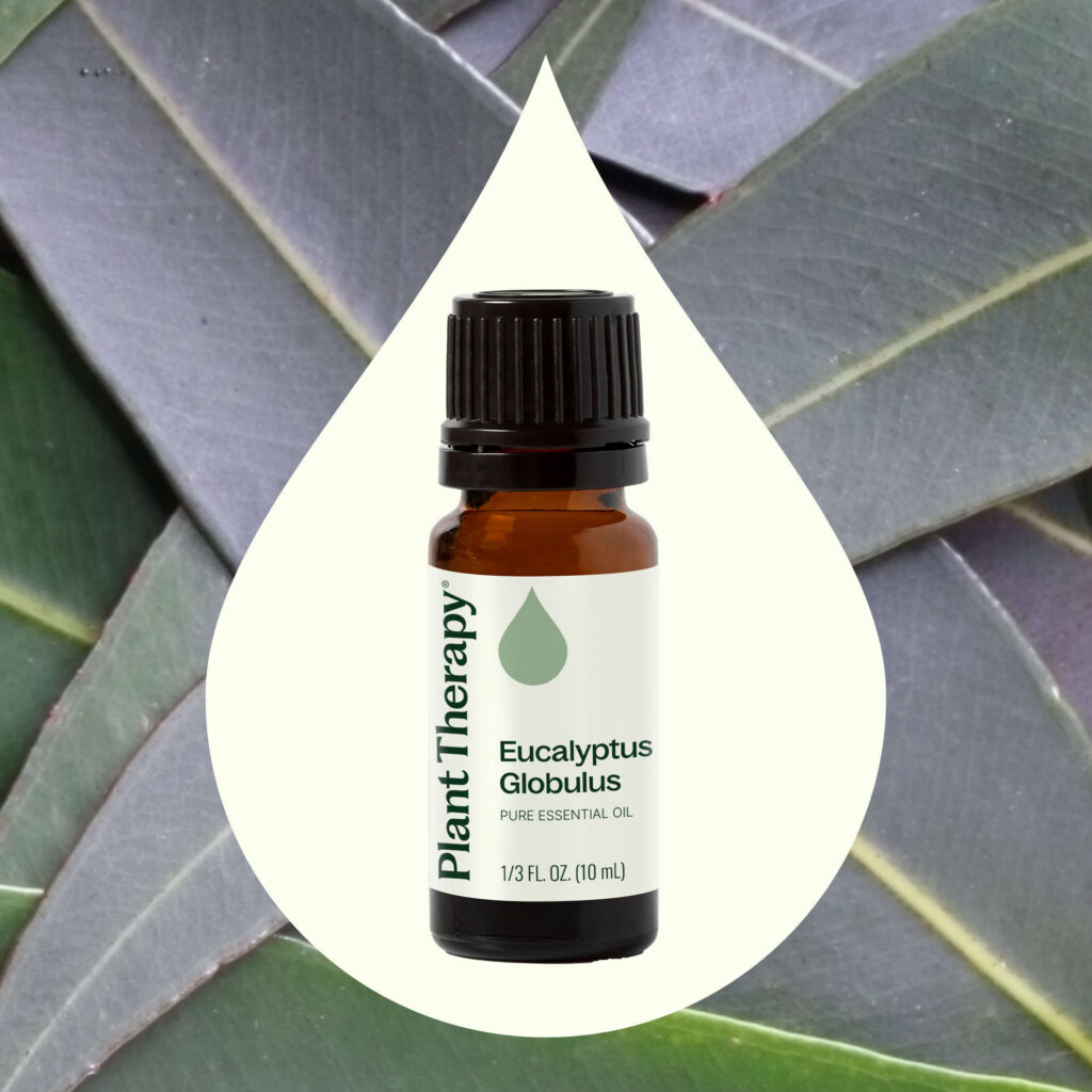 藍膠尤加利精油|Plant Therapy 10ml 產品圖 2