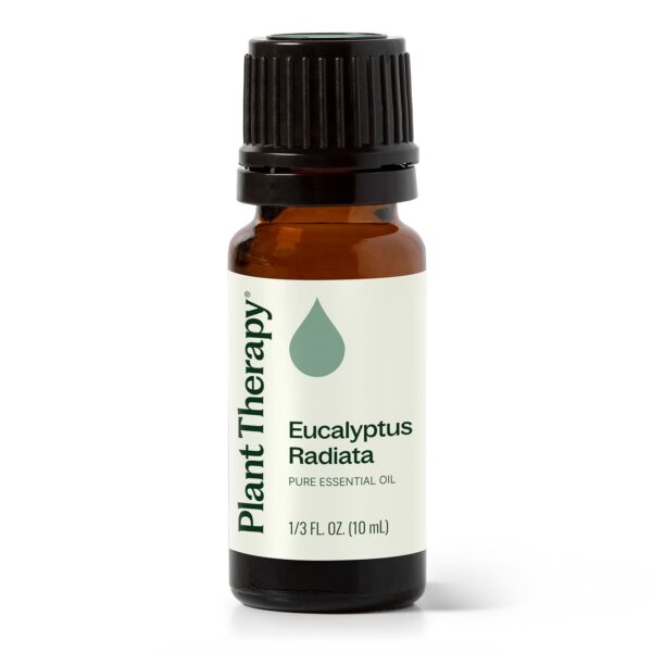 澳洲尤加利精油｜Plant Therapy - 10ml