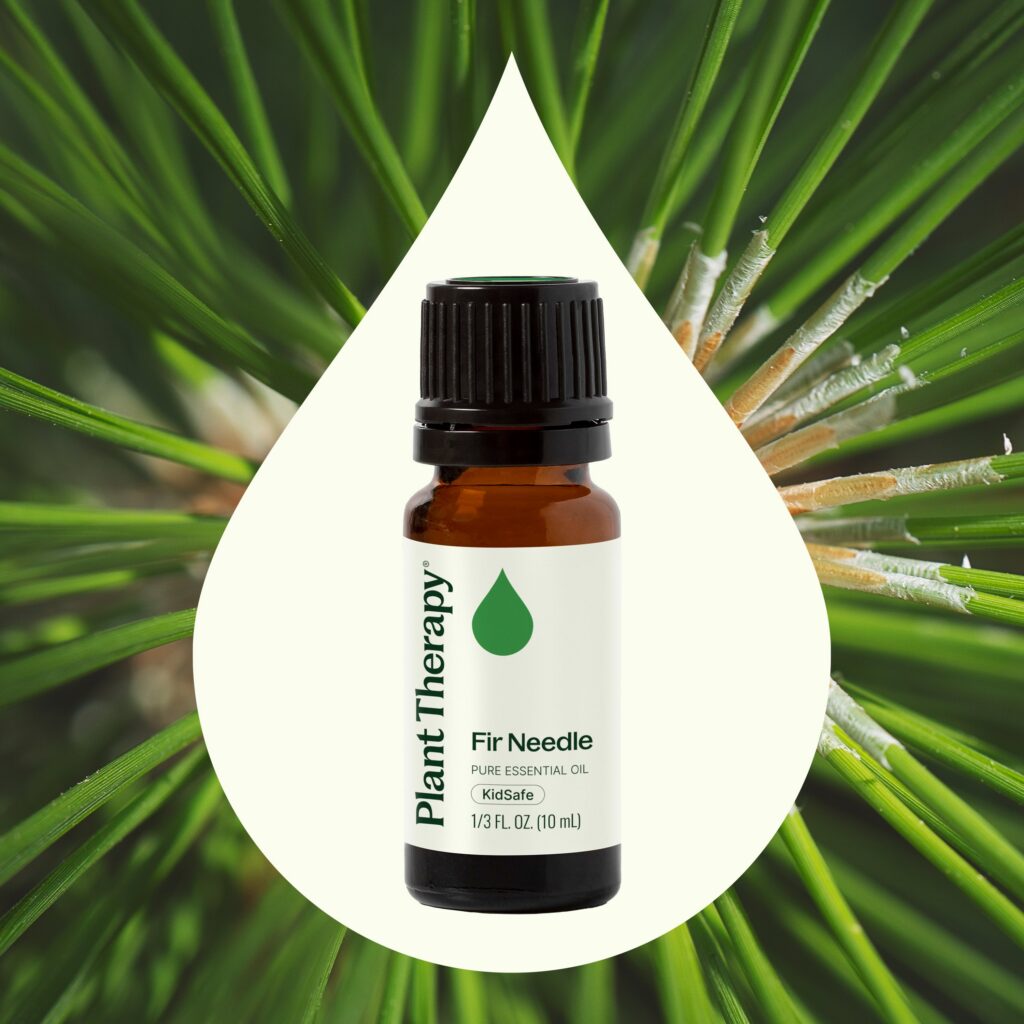 西伯利亞冷杉精油|Plant Therapy 10ml 產品圖 2
