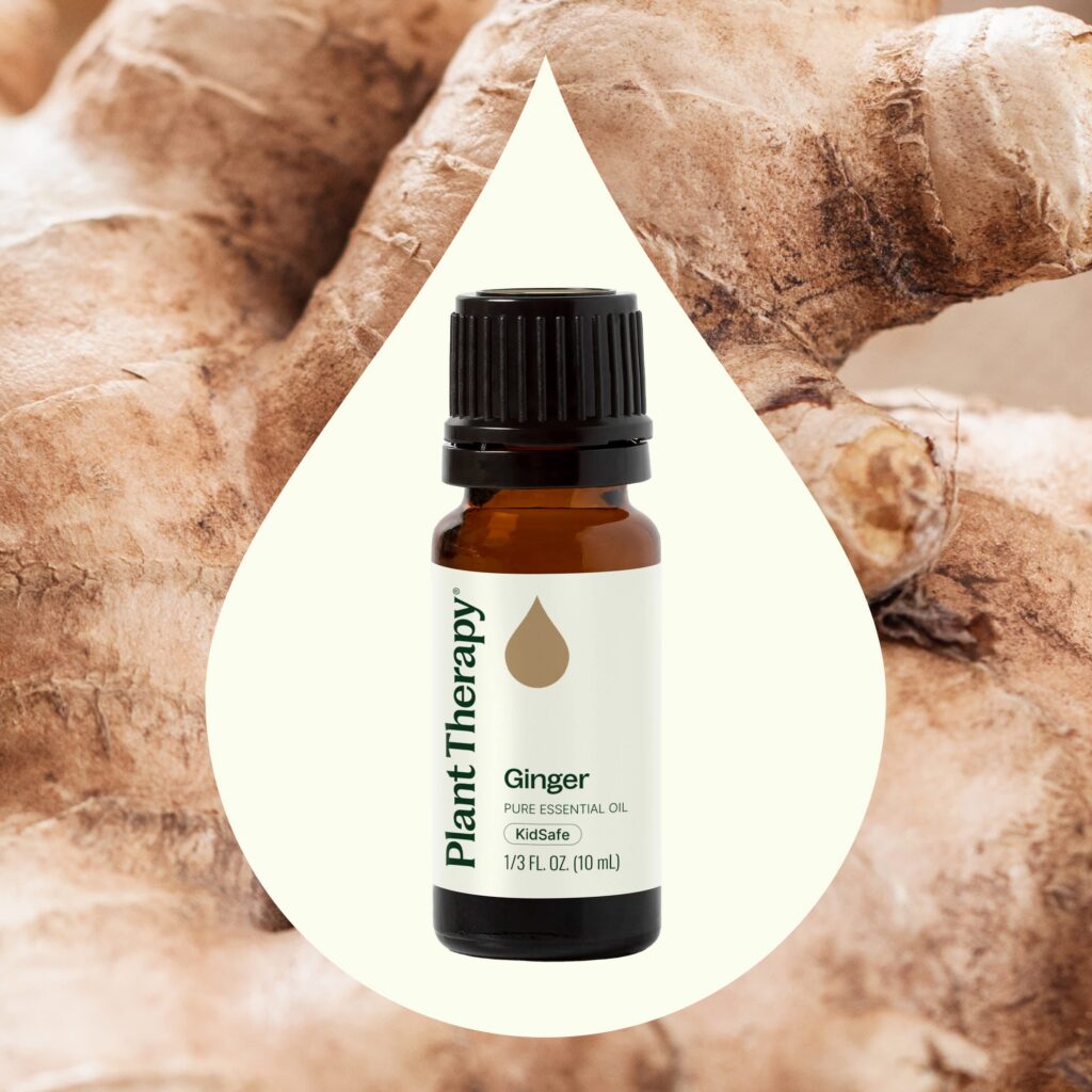 薑精油(蒸餾)|Plant Therapy - 10ml 產品圖 2