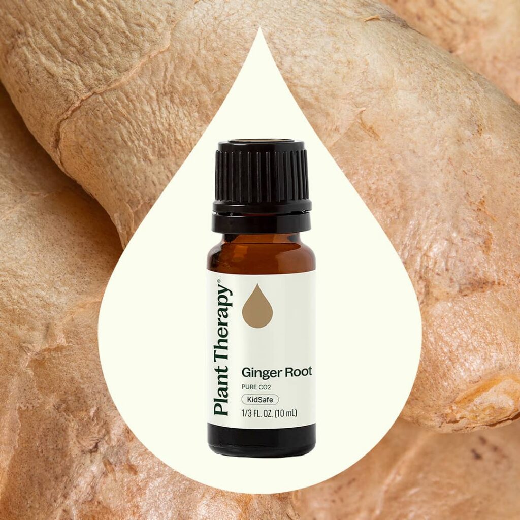 薑精油(超臨界CO2)|Plant Therapy 10ml 產品圖 2