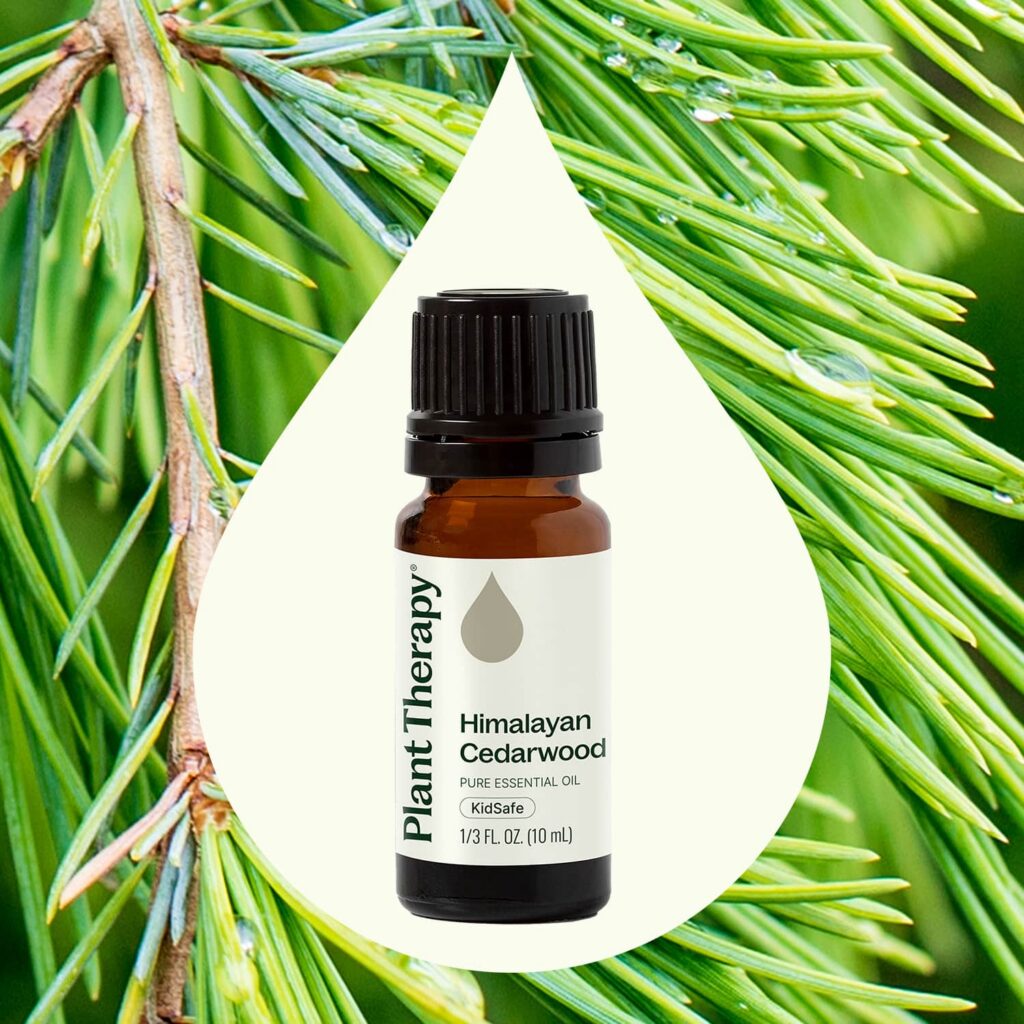 喜馬拉雅雪松精油|Plant Therapy 10ml 產品圖 2