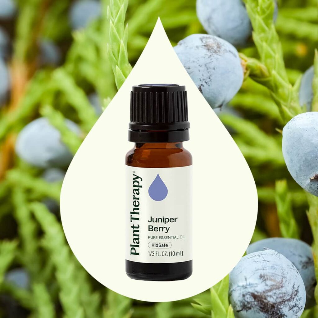 杜松漿果精油|Plant Therapy 10ml 產品圖 2