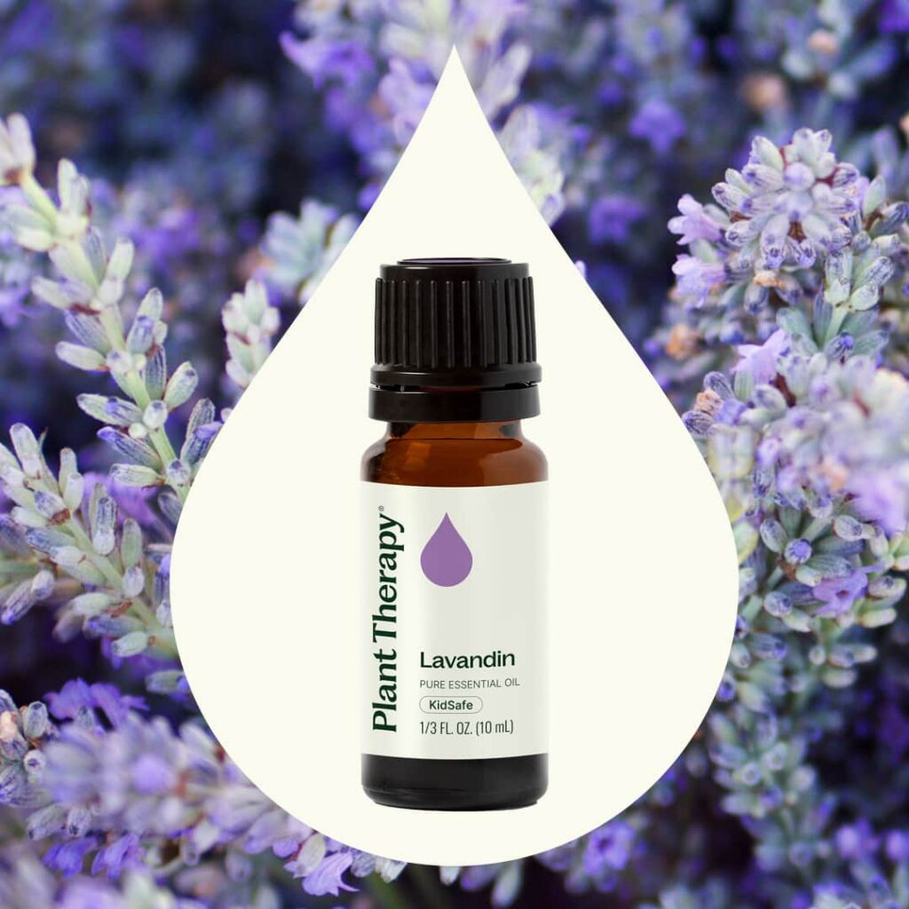 醒目薰衣草精油|Plant Therapy 10ml 產品圖 2