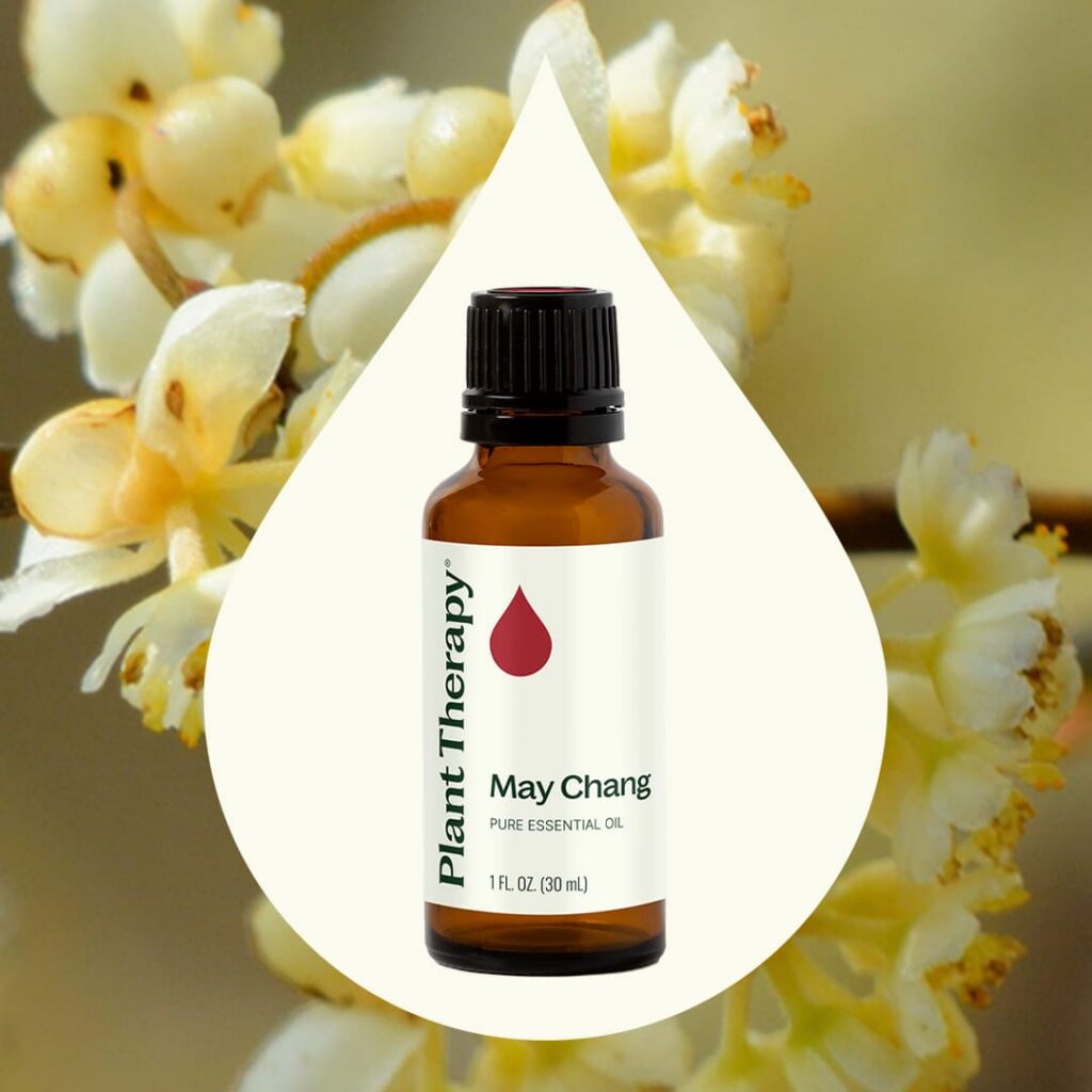 山雞椒精油|Plant Therapy 30ml 產品圖 3