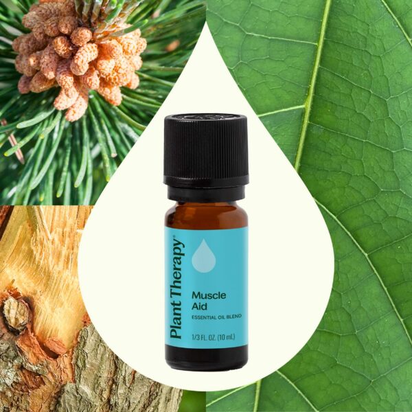肌肉援助複方精油｜Plant Therapy 10ml 產品圖 2
