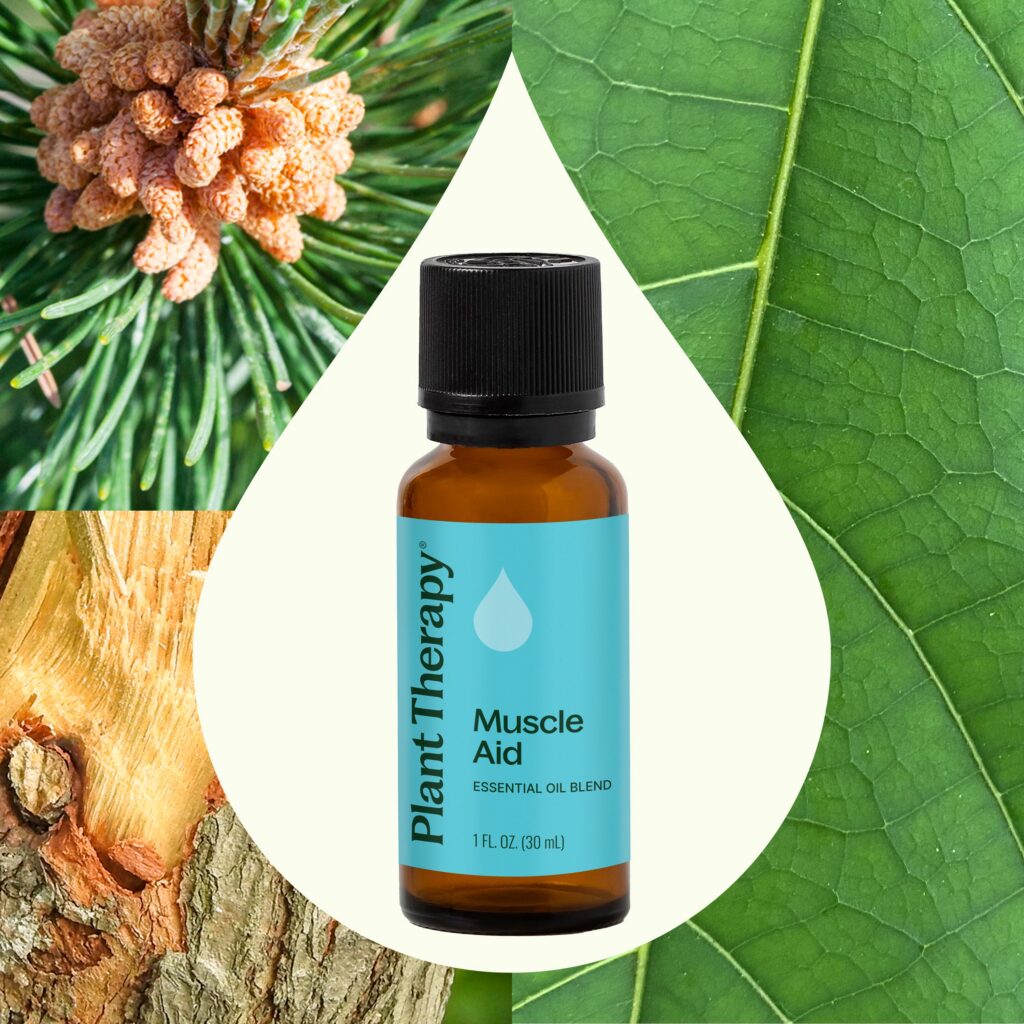 肌肉援助複方精油|Plant Therapy 30ml 產品圖 3
