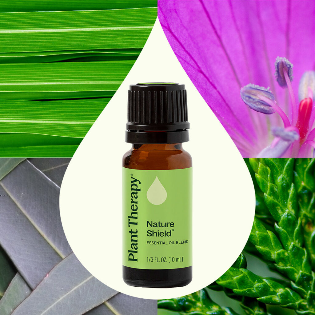 自然屏障複方精油｜Plant Therapy 10ml 產品圖 2