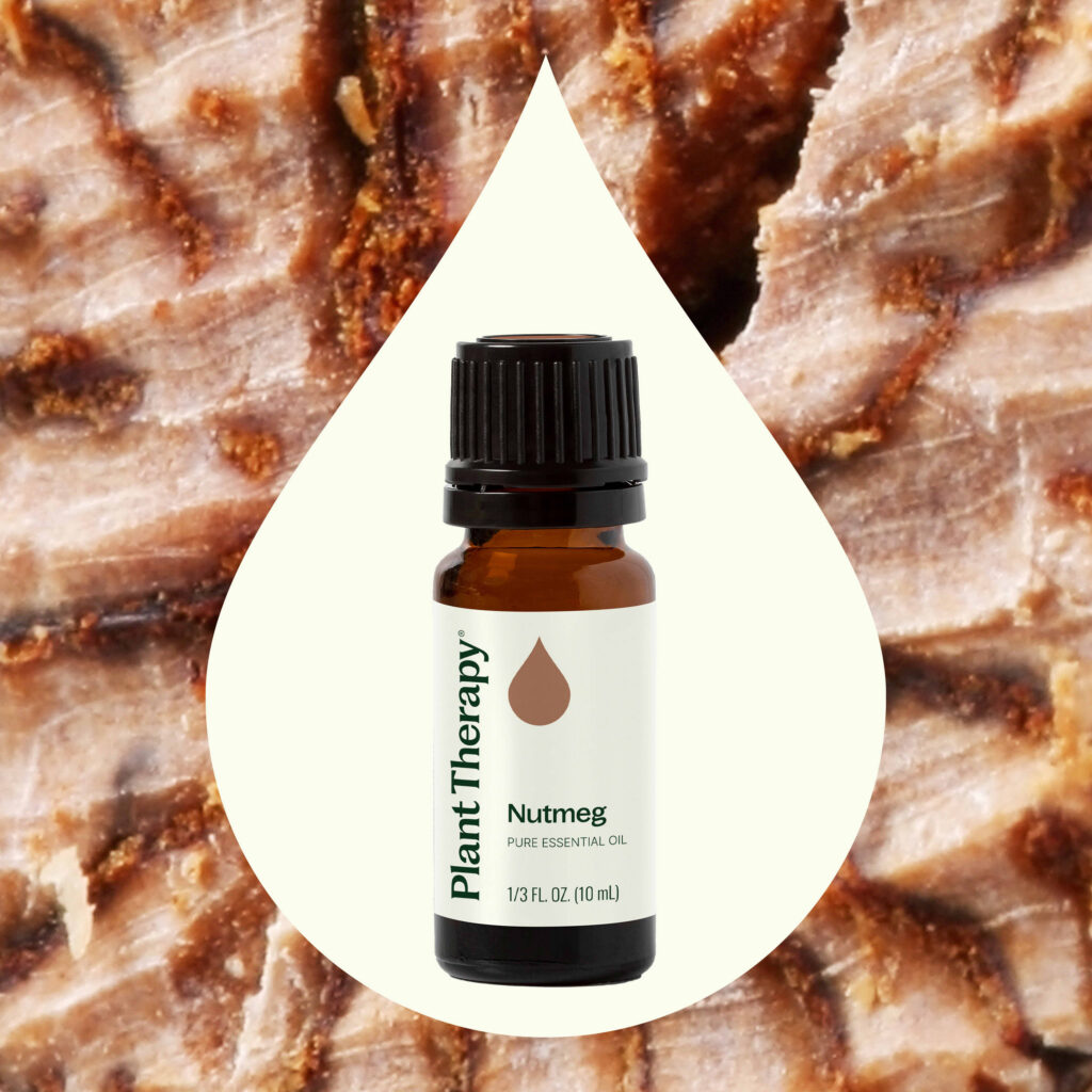 肉豆蔻精油|Plant Therapy - 10ml 產品圖 2