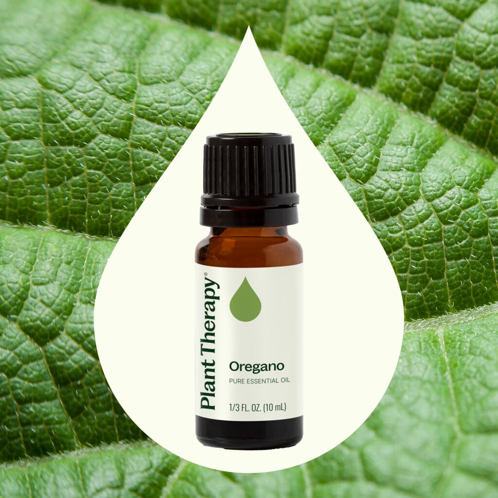 野馬鬱蘭精油｜Plant Therapy 10ml 產品圖 2