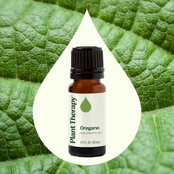 野馬鬱蘭精油｜Plant Therapy 10ml 產品圖 2