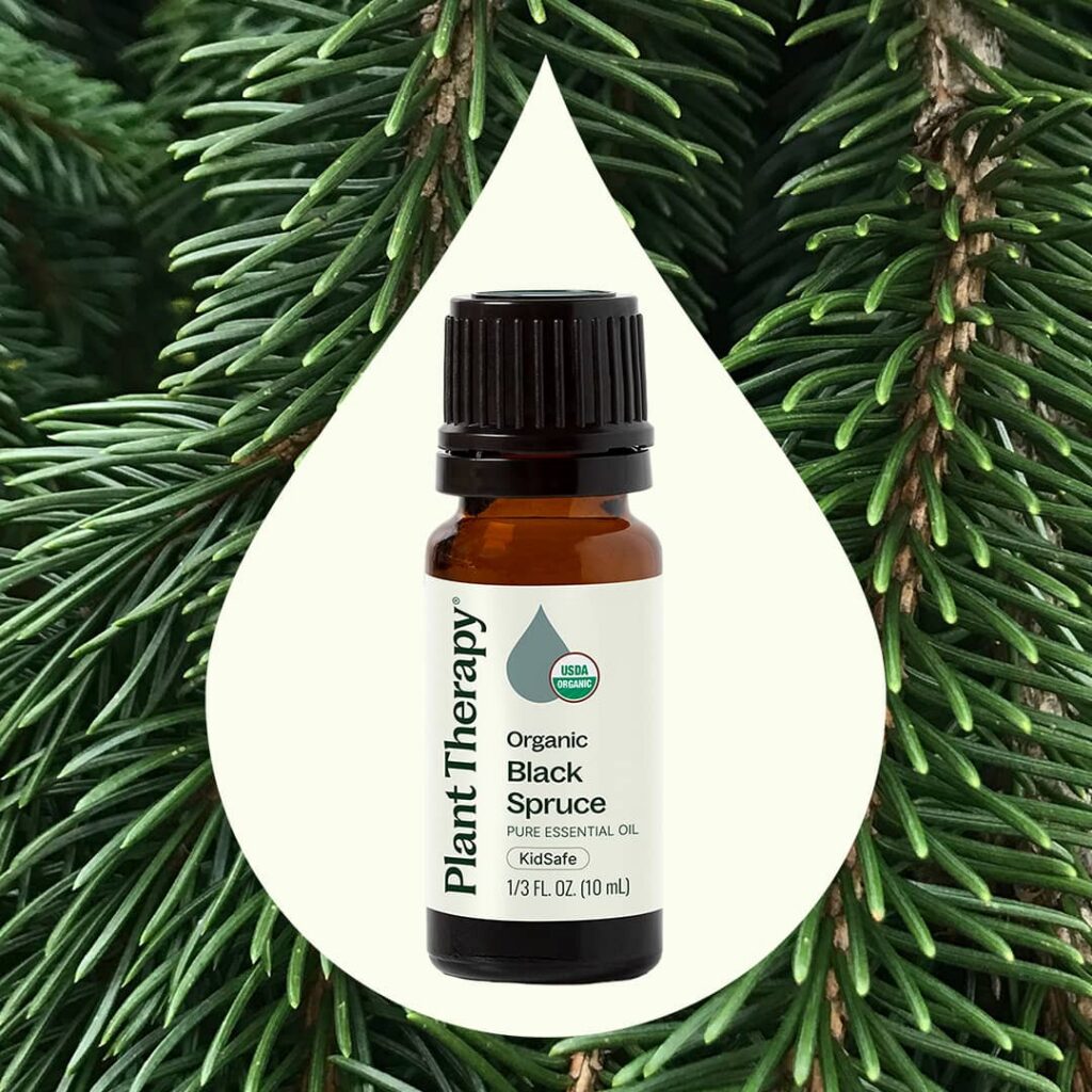 有機黑雲杉精油|Plant Therapy - 10ml 產品圖 2