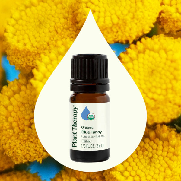 有機藍艾菊精油｜Plant Therapy 5ml 產品圖 2