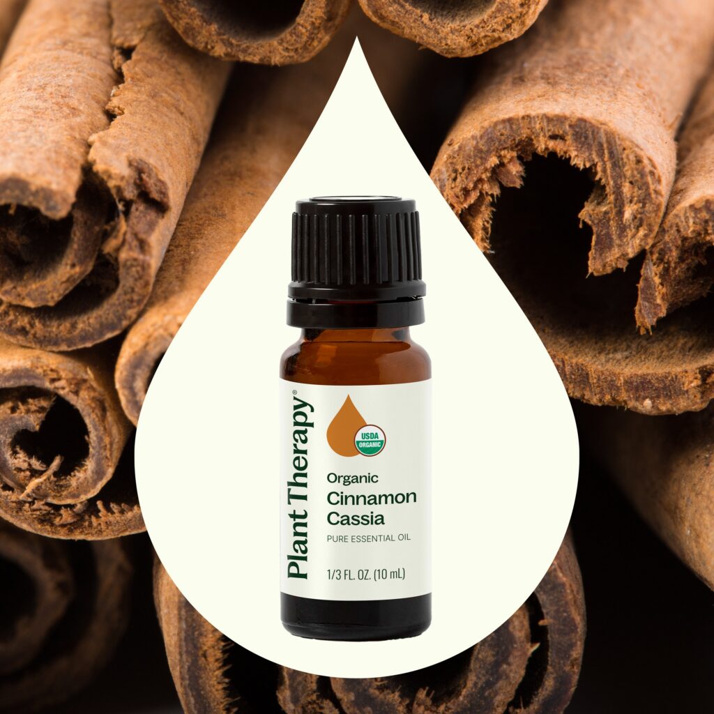 有機中國肉桂精油|Plant Therapy - 10ml 產品圖 2
