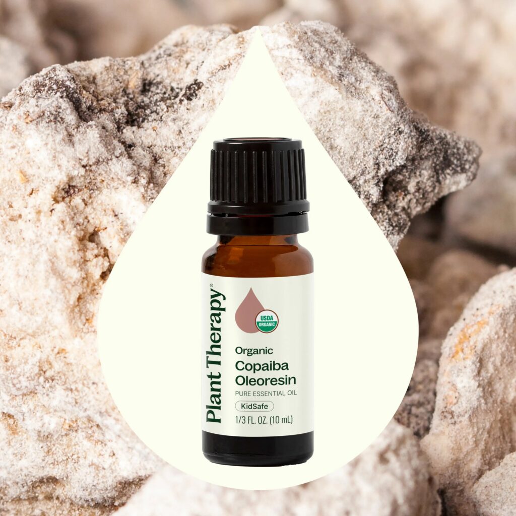 有機古巴香脂精油｜Plant Therapy 10ml 產品圖 2