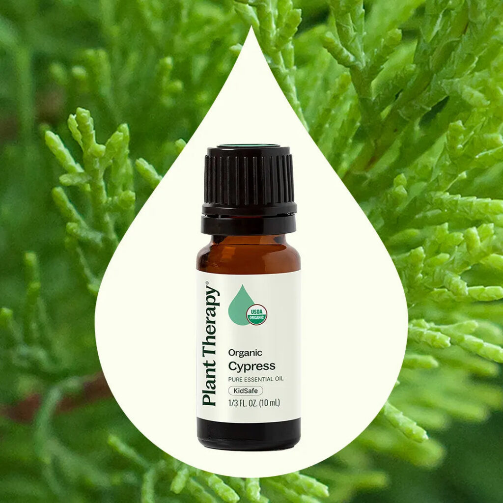 有機絲柏精油｜Plant Therapy - 10ml 產品圖 2