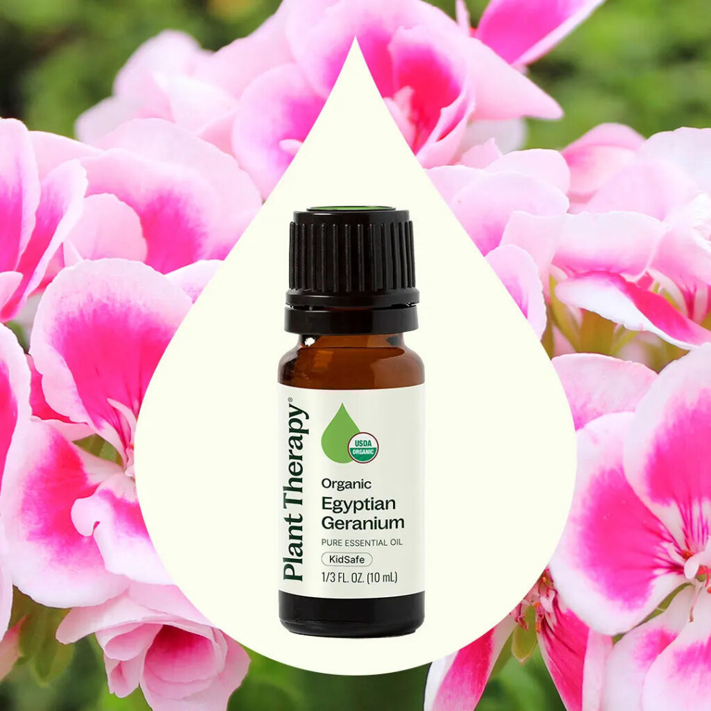 有機埃及天竺葵精油｜Plant Therapy 10ml 產品圖 3