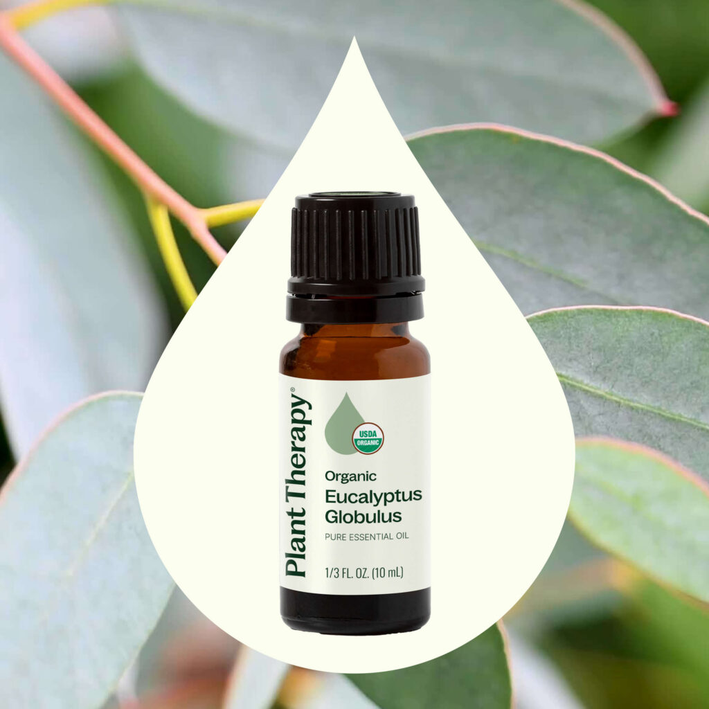 有機藍膠尤加利精油|Plant Therapy 10ml 產品圖 2