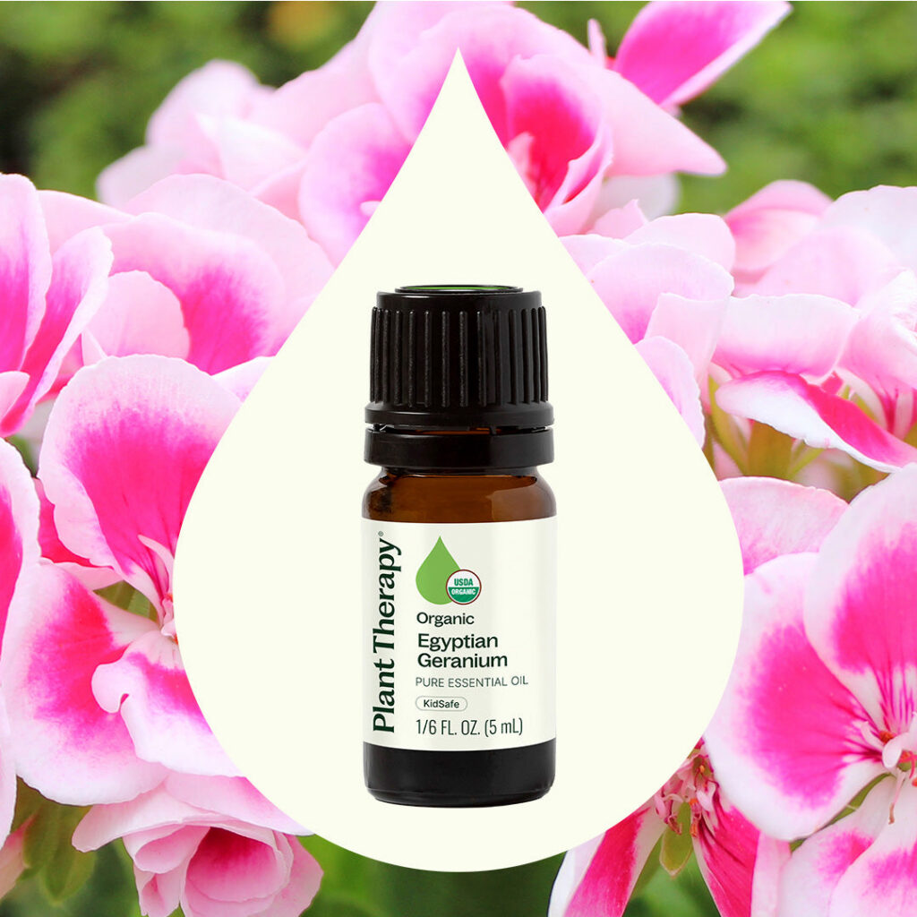 有機埃及天竺葵精油｜Plant Therapy 5ml 產品圖 2
