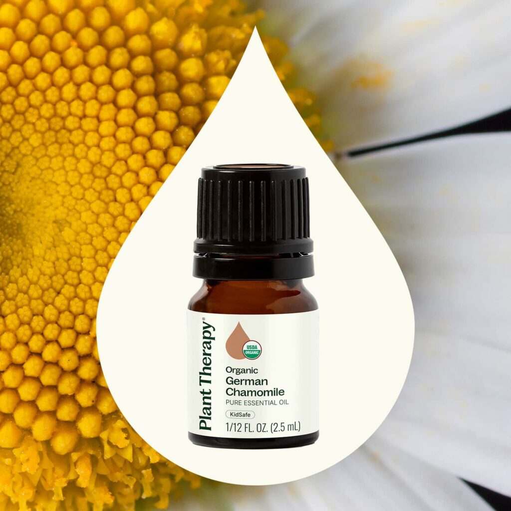 有機德國洋甘菊精油｜Plant Therapy - 2.5ml 產品圖 2