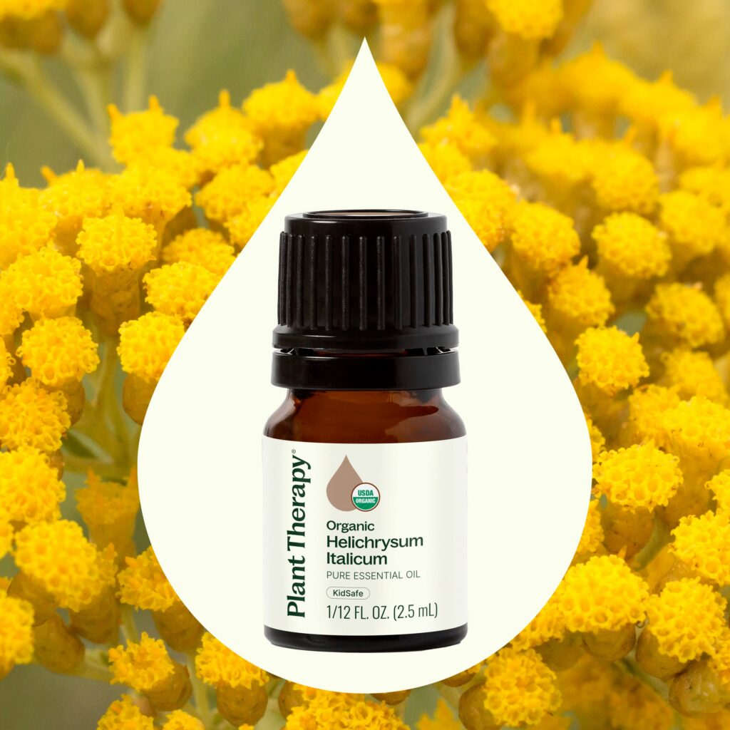有機永久花精油｜Plant Therapy 2.5ml 產品圖 2