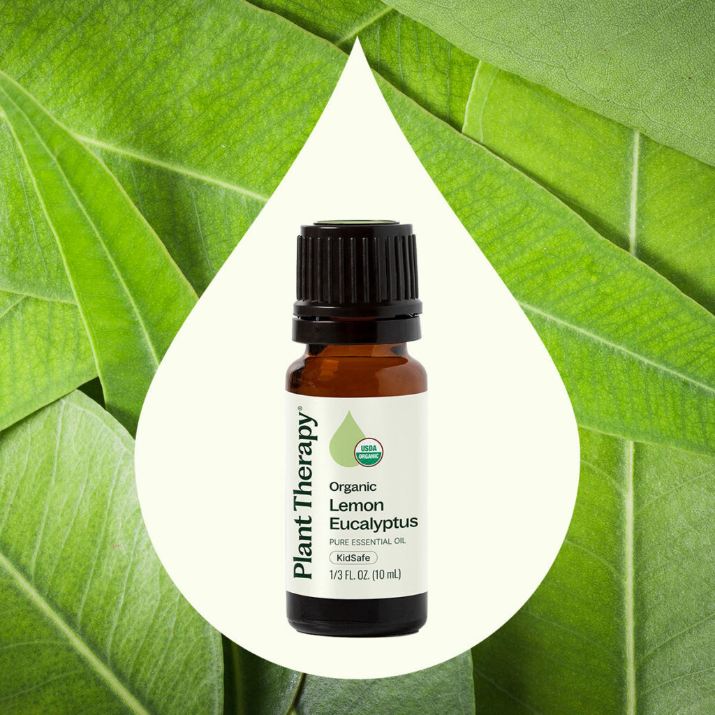 有機檸檬尤加利精油|Plant Therapy 10ml 產品圖 2
