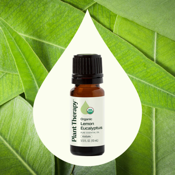 有機檸檬尤加利精油｜Plant Therapy 10ml 產品圖 2