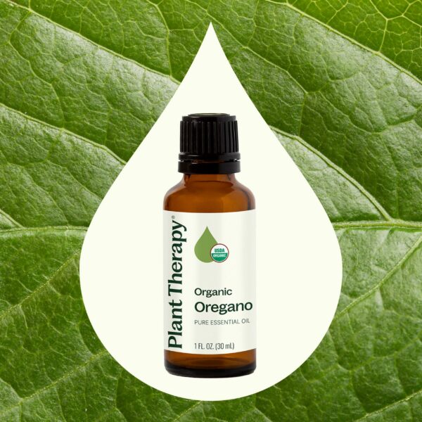 有機野馬鬱蘭精油｜Plant Therapy 30ml 產品圖 4