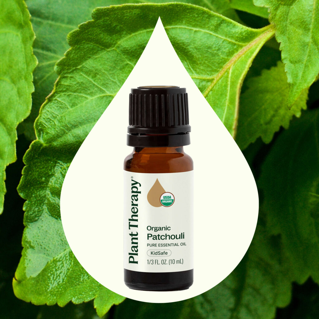 有機廣藿香精油 |Plant Therapy - 10ml 產品圖 2