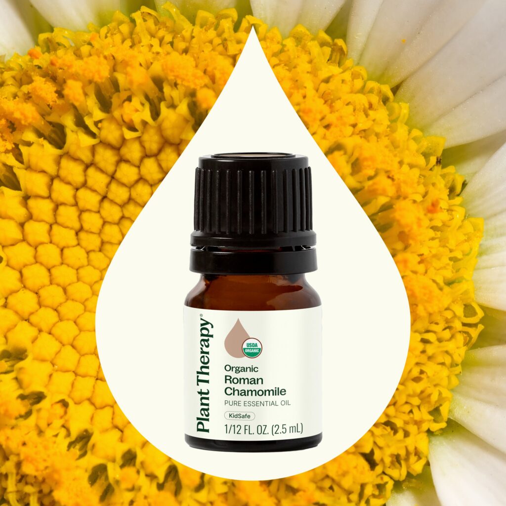 有機羅馬洋甘菊精油｜Plant Therapy - 2.5ml 產品圖 2